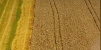 Nesër mbyllen aplikimet për subvencione, mbi 32 mijë aplikime deri tani