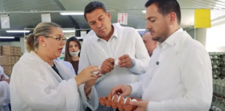 Stabilimenti me 350 mijë krerë në Xhafzotaj, model i modernizimit agro-ushqimor