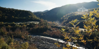 Bredhi i Hotovës, një nga thesaret më të çmuara natyrore
