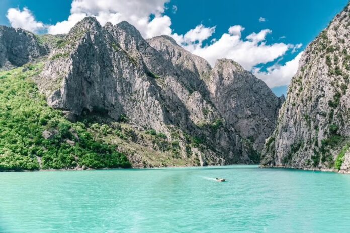 IMG_6207
