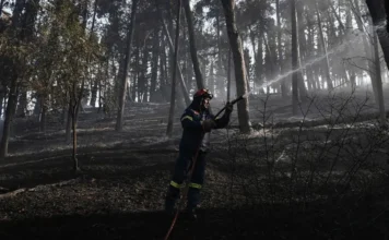 GREQI – Zjarr shkatërrues pranë Selanikut, dy të vdekur dhe dhjetëra të evakuuar