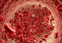 FOKUS – Një analizë gjaku zbulon moshën biologjike të 11 organeve dhe parashikon rrezikun e sëmundjeve