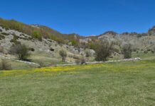 Mot i kthjellët, temperatura deri në 35 gradë Celsius