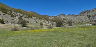 Mot i kthjellët, temperatura deri në 35 gradë Celsius