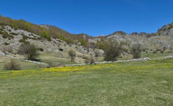 Mot i kthjellët, temperatura deri në 35 gradë Celsius