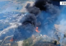 Ndezi zjarr në tokën e tij dhe flakët përfshinë territorin e disa fshatrave në Fier, arrestohet 20-vjeçari