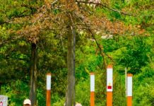 Thethi i mbushur me turistë, destinacioni i preferuar i verës