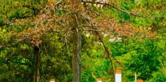 Thethi i mbushur me turistë, destinacioni i preferuar i verës
