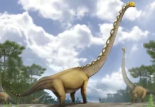 “Nature”: Zbulim i jashtëzakonshëm në Tajlandë: Gjendet një dinosaur gjigant me qafë 20 metra të gjatë