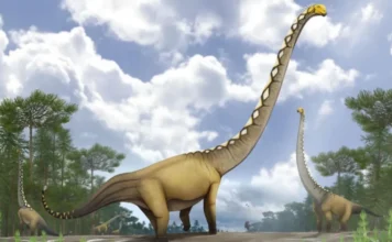 “Nature”: Zbulim i jashtëzakonshëm në Tajlandë: Gjendet një dinosaur gjigant me qafë 20 metra të gjatë