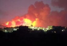 Zjarre në Siçili, temperaturat mbi 46 gradë Celsius