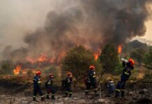 GREQI – Ishujt në flakë: Zjarret përfshijnë Kretën, Parosin dhe Lesbosin, evakuohen banorë e turistë
