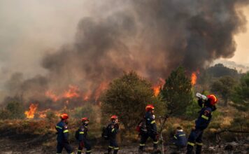 GREQI – Ishujt në flakë: Zjarret përfshijnë Kretën, Parosin dhe Lesbosin, evakuohen banorë e turistë
