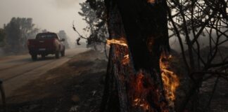 GREQI – Zjarre të shumta në Atikë, që ka humbur 42% të pyjeve