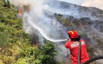 23 vatra zjarri në 24 orët e fundit, dy vijojnë nën monitorim