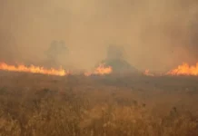GREQI – Zjarri shkakton evakuime masive në Halkidiki