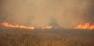 GREQI – Zjarri shkakton evakuime masive në Halkidiki