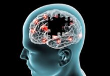 Pse terapia nuk funksionon njësoj për të gjithë pacientët me parkinson?