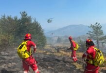 Ministria e Mbrojtjes: Katër vatra aktive dhe një nën monitorim, 350 forca në terren