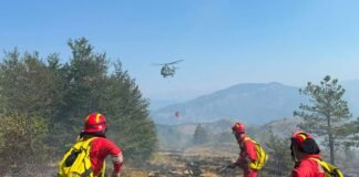 Ministria e Mbrojtjes: Katër vatra aktive dhe një nën monitorim, 350 forca në terren