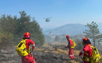 Ministria e Mbrojtjes: Katër vatra aktive dhe një nën monitorim, 350 forca në terren