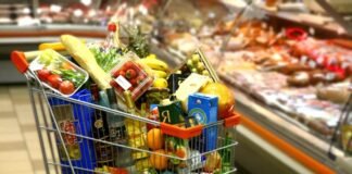Eksportet bimore, mbi 15 mijë certifikata fitosanitare në shtatë muaj, 60% drejt BE-së
