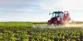 AZHBR: Kredi e butë deri në 200 milionë lekë për 5 sektorë të bujqësisë dhe agrobiznesit