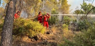 Përmirësohet situata nga zjarret, tre vatra aktive