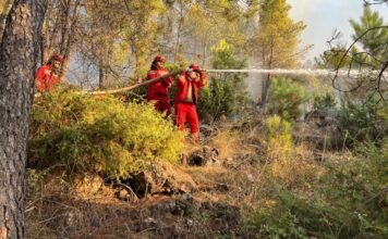 Përmirësohet situata nga zjarret, tre vatra aktive
