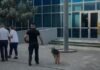E-mail-e kërcënuese për bombë në disa institucione, policia: Nuk u gjet asnjë eksploziv