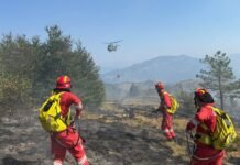 Ministria e Mbrojtjes: 34 vatra zjarri në 24 orë, aktive në qarqet Tiranë dhe Dibër