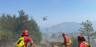 Ministria e Mbrojtjes: 34 vatra zjarri në 24 orë, aktive në qarqet Tiranë dhe Dibër
