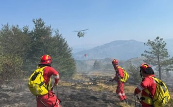 Ministria e Mbrojtjes: 34 vatra zjarri në 24 orë, aktive në qarqet Tiranë dhe Dibër