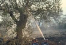 Zjarret në Himarë e Fier, Rama: Situata nën kontroll, vijon evidentimi i dëmeve