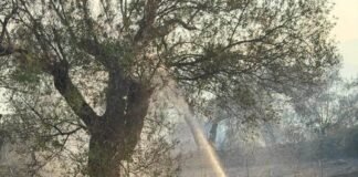 Zjarret në Himarë e Fier, Rama: Situata nën kontroll, vijon evidentimi i dëmeve