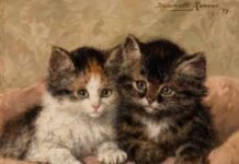 Henriette Ronner-Knip, artistja që i ktheu macet në protagoniste të artit
