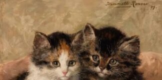 Henriette Ronner-Knip, artistja që i ktheu macet në protagoniste të artit