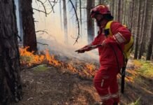 MM: 32 vatra zjarri në 24 orët e fundit, 11 aktive dhe 5 nën mbikëqyrje