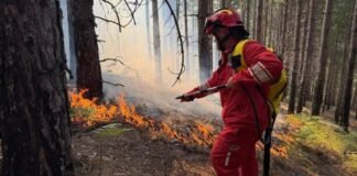 MM: 32 vatra zjarri në 24 orët e fundit, 11 aktive dhe 5 nën mbikëqyrje