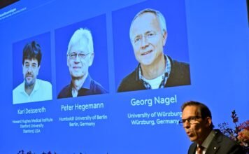 Dy shkencëtarë gjermanë dhe një amerikan fitojnë çmimin “Nobel” në Mjekësi për zbulimet në optogjenetikë