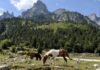 Media franceze: Shqipëria, mes destinacioneve më tërheqëse për të udhëtuar në tetor
