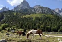 Media franceze: Shqipëria, mes destinacioneve më tërheqëse për të udhëtuar në tetor