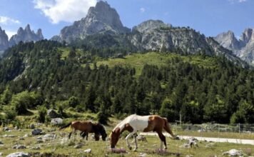 Media franceze: Shqipëria, mes destinacioneve më tërheqëse për të udhëtuar në tetor