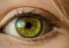 Retina zbulon sinjale të sëmundjeve, nga diabeti te hipertensioni