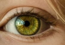 Retina zbulon sinjale të sëmundjeve, nga diabeti te hipertensioni