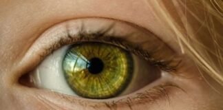 Retina zbulon sinjale të sëmundjeve, nga diabeti te hipertensioni
