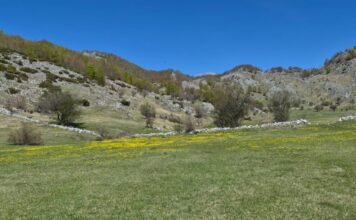 Sot mot i kthjellët në të gjithë territorin