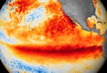 Organizata Botërore Meteorologjike: “El Nino” mund të arrijë intensitet rekord