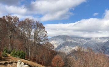 Mot kryesisht me diell, temperatura deri në 24 gradë Celsius