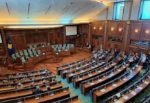 Kuvendi i Kosovës themelon komision hetimor për vrasjen e Arlinda Zekajt